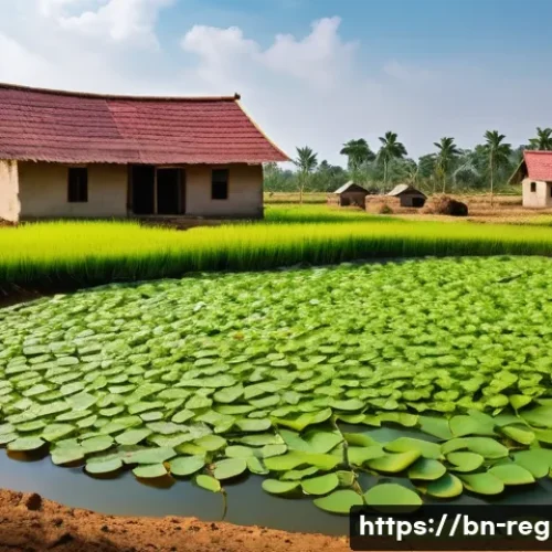 Home 27 지역개발 전문가 인증 제도 - **Prompt:** "A bustling village scene transitioning into a smart village, under a bright, sunny sky....